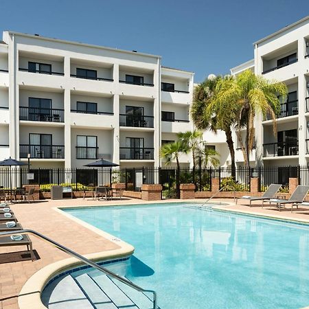 Courtyard Tampa Westshore/Airport Bagian luar foto